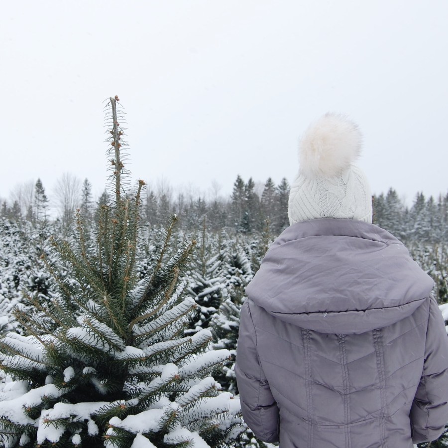 Processed with VSCO with a6 preset