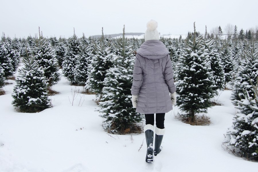 Processed with VSCO with a6 preset