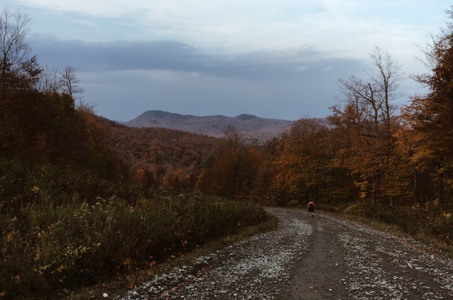 Processed with VSCO with a4 preset