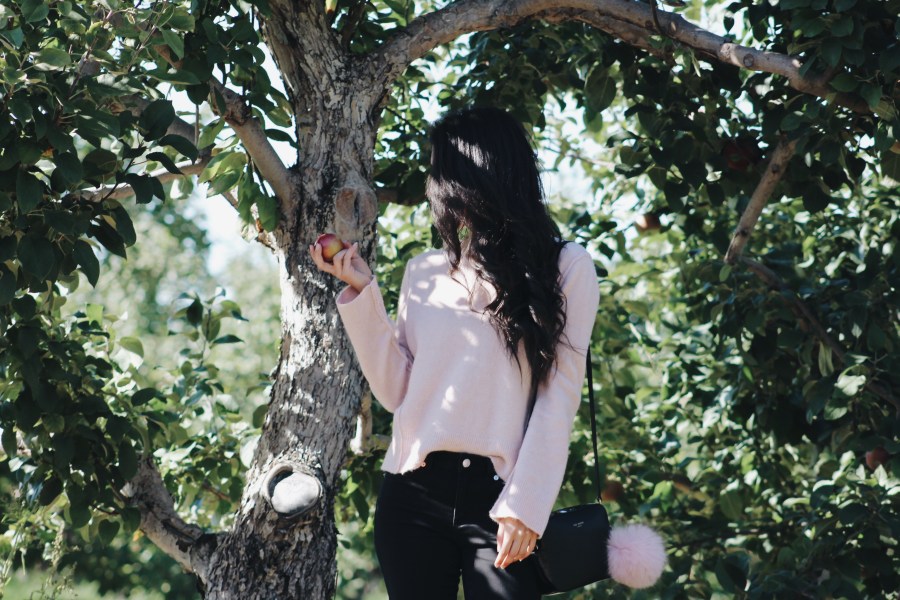 Processed with VSCO with a6 preset