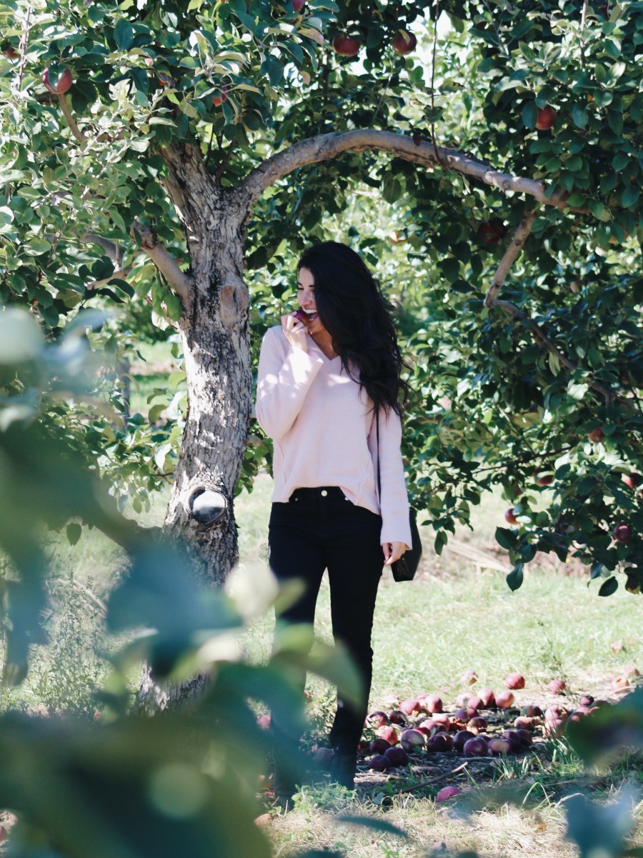 Processed with VSCO with a6 preset