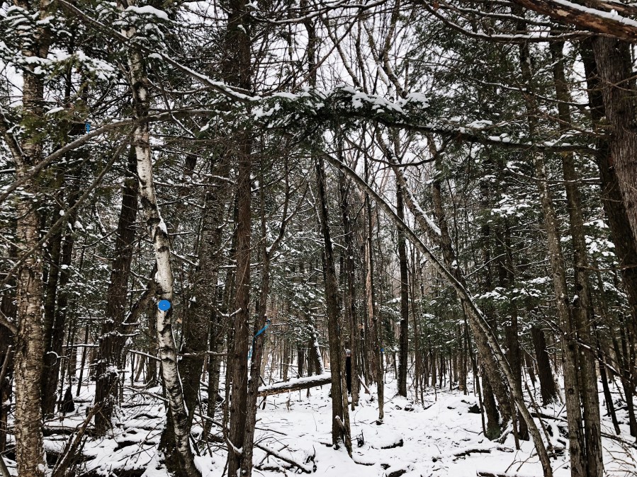 Processed with VSCO with s2 preset