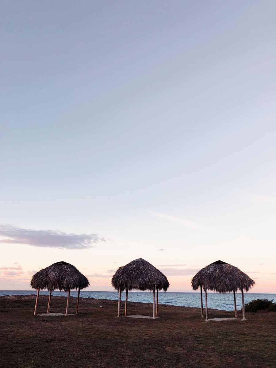 Processed with VSCO with dog1 preset