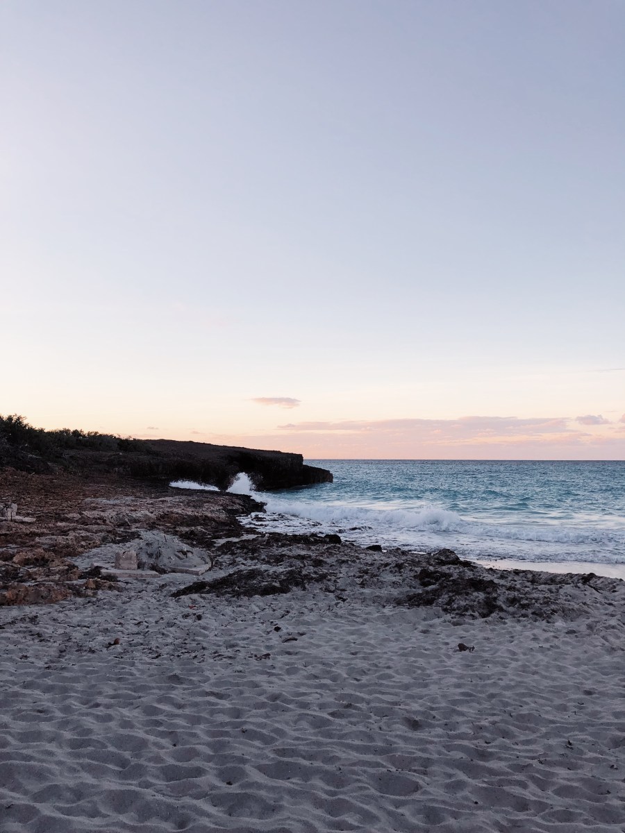 Processed with VSCO with dog1 preset