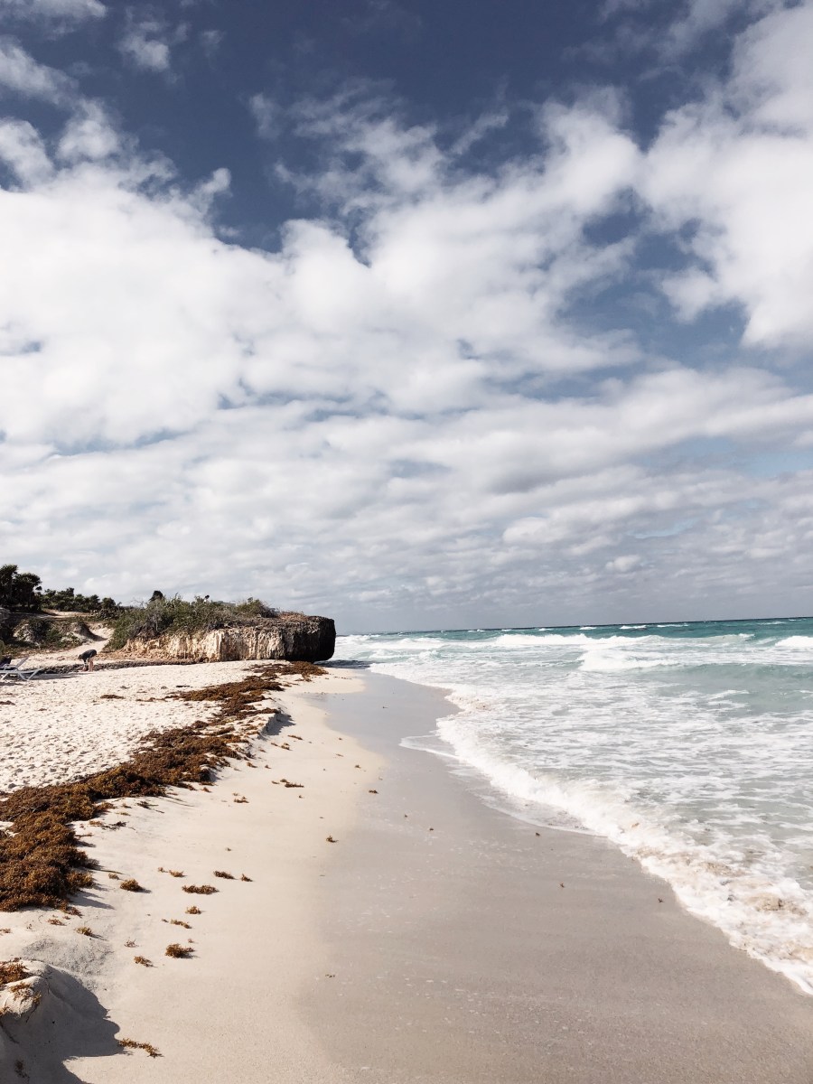 Processed with VSCO with dog1 preset