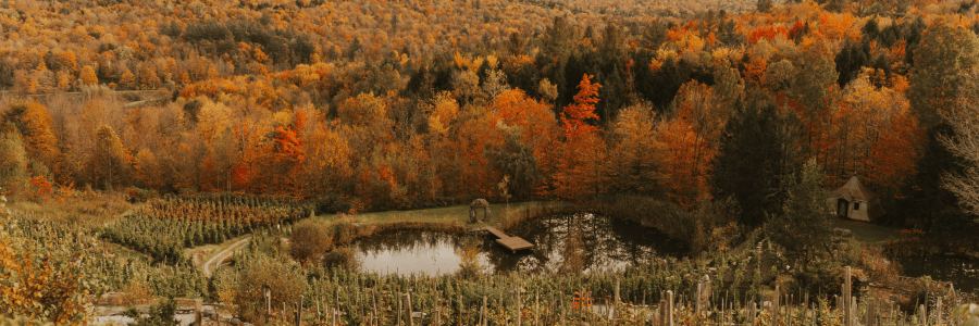 Le Château Ste-Agnès est un domaine au style Européen à visiter cet automne au Québec !