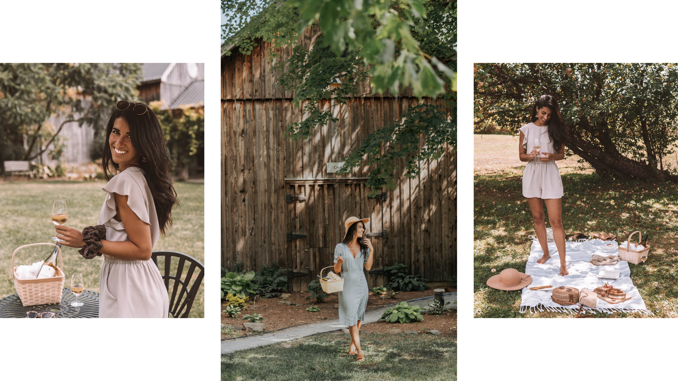 Dégustation de vin et pique-nique au vignoble québécois